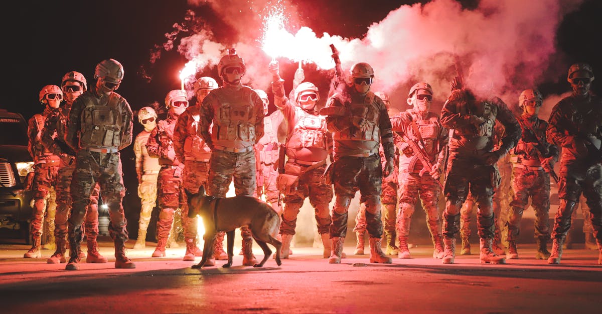 AM英语app详情下载教程